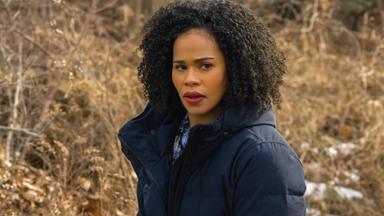 FBI: Los más buscados 3x16