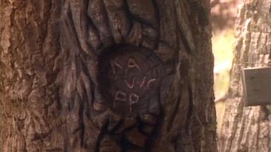 Los años maravillosos 2x16