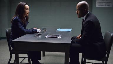 Sobreviviente designado 1x11