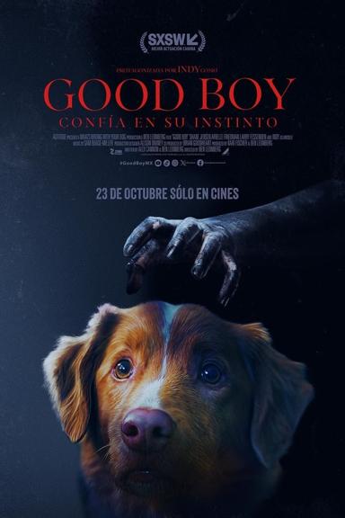Good Boy